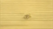 hhhhhhhhh
